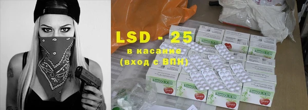 дмт Болотное