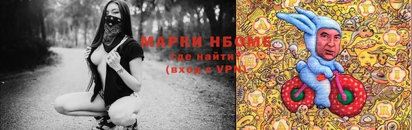 твердый Иннополис