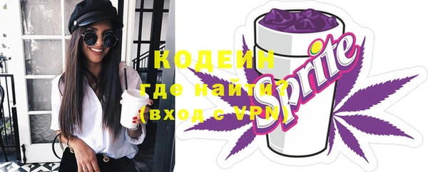 твердый Иннополис
