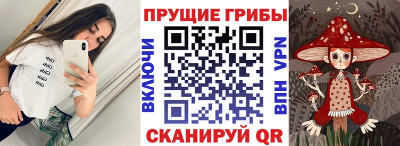 Галлюциногенные грибы прущие грибы  закладка  Ишимбай 